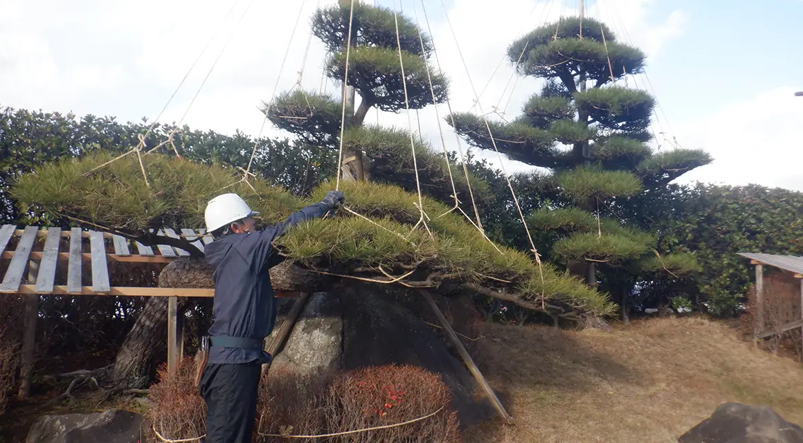 冬の作業風景