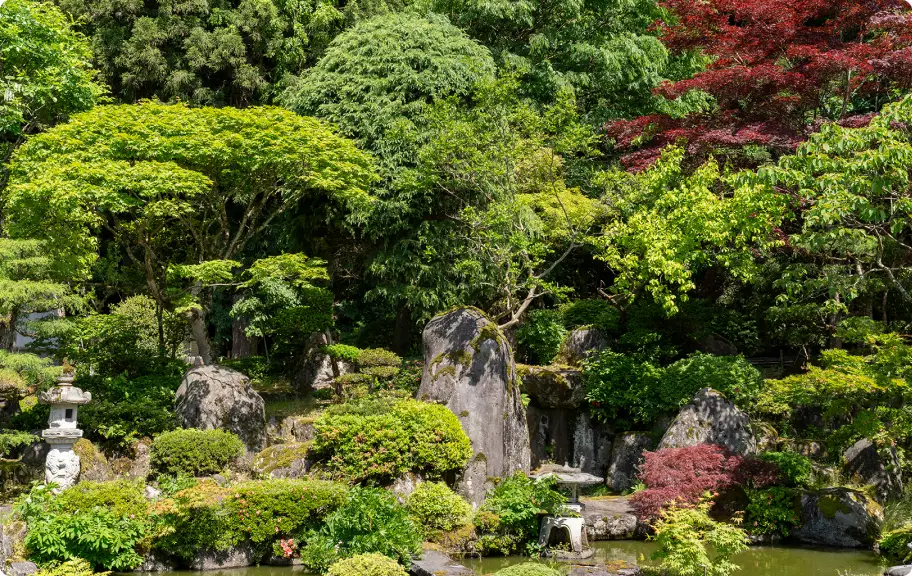 庭園風景1