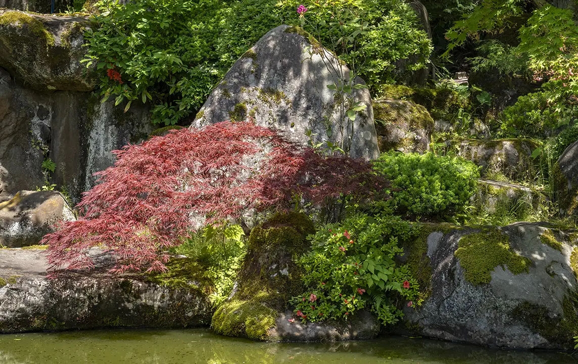 庭園風景1